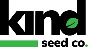 Exploring the Best Marijuana Seeds California Has to Offer
