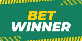 Explore the Exciting World of BetWinner Casino 12